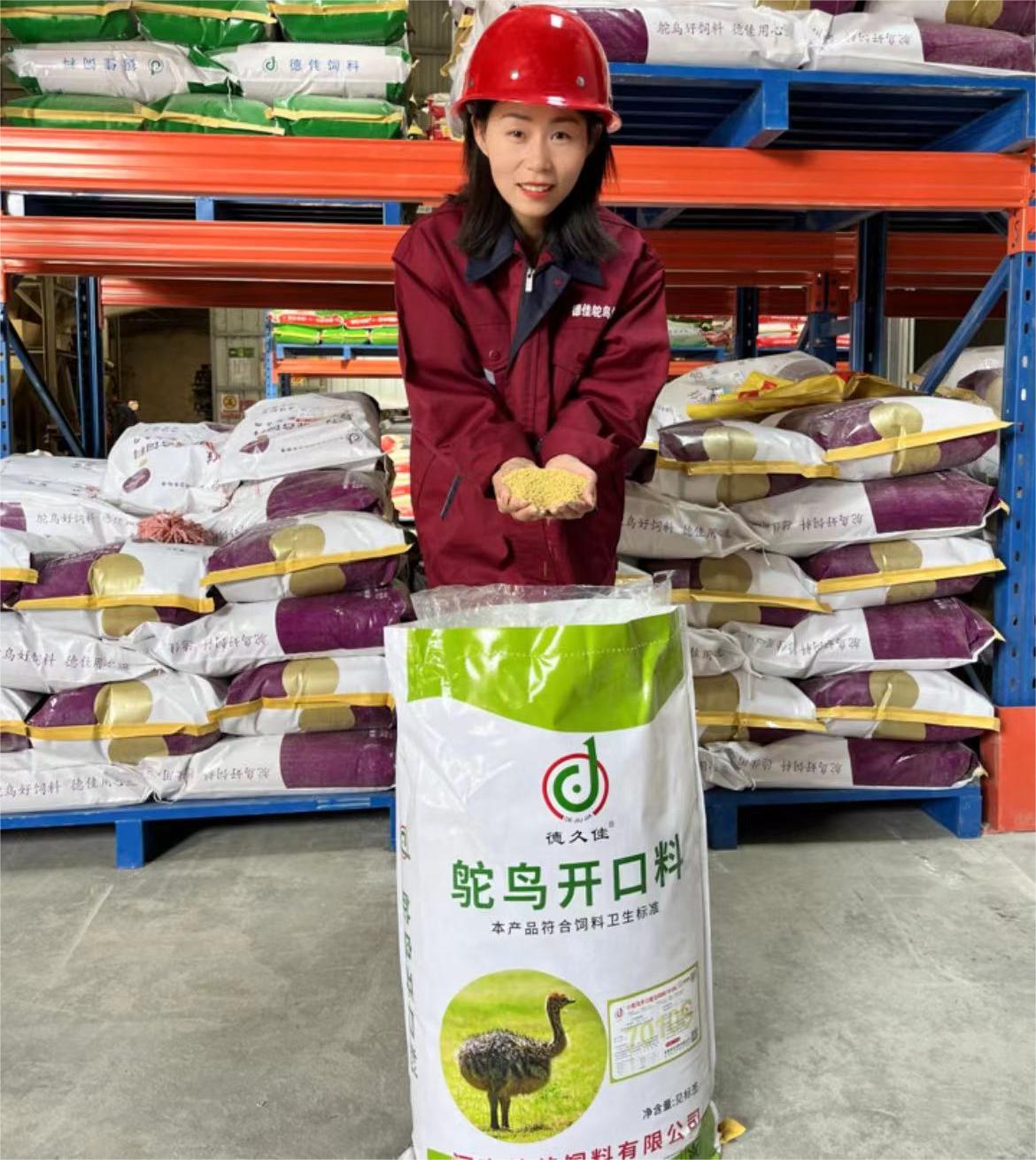 創(chuàng)新領先的河南德佳7010S飼料，讓您的小鴕鳥健康成長無憂慮！